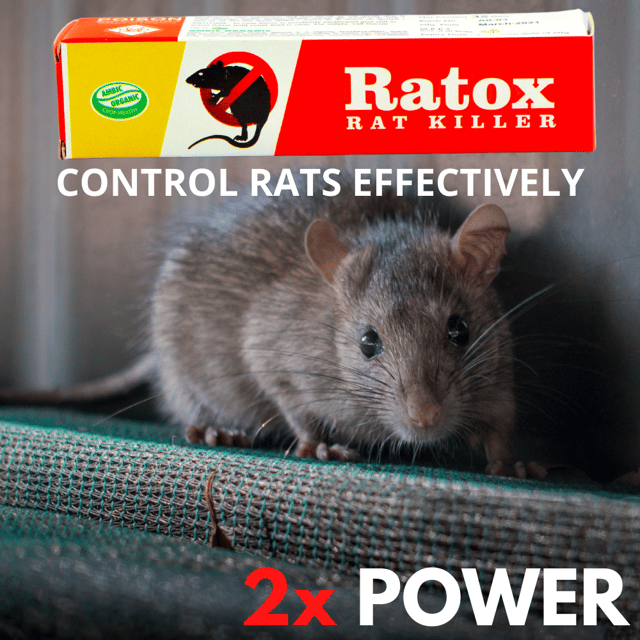 Rat Killer Cake | Rats Mostly Die Outside | Rat Kill Bait for Rat and –  Pretty Buyers India