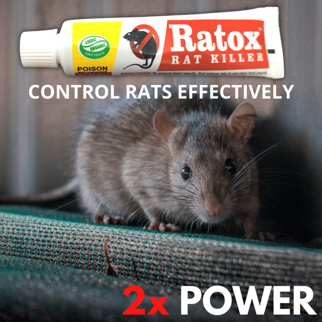 Rat Kill Gel, Ready to Use Rat Killer for Home and Outdoors