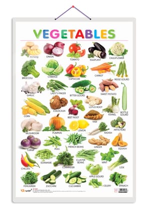 Vegetables Early Learning Educational Chart for Kids | 20"X30" inch |Non-Tearable and Waterproof | Double Sided Laminated | Perfect for Homeschooling, Kindergarten and Nursery Students