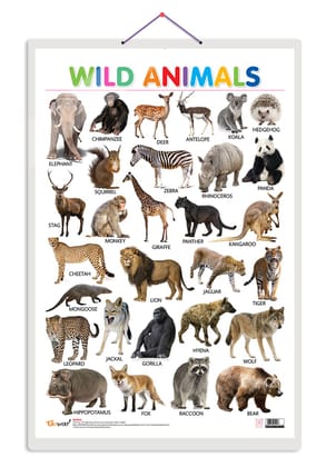 Wild Animals Early Learning Educational Chart for Kids | 20"X30" inch |Non-Tearable and Waterproof | Double Sided Laminated | Perfect for Homeschooling, Kindergarten and Nursery Students