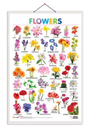 Flowers Early Learning Educational Chart for Kids | 20"X30" inch |Non-Tearable and Waterproof | Double Sided Laminated | Perfect for Homeschooling, Kindergarten and Nursery Students