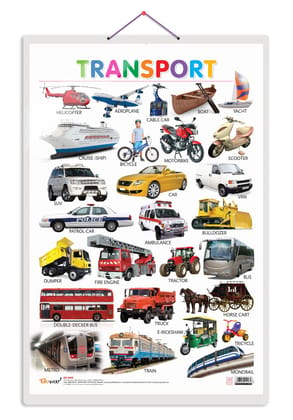 Transport Early Learning Educational Chart for Kids | 20"X30" inch |Non-Tearable and Waterproof | Double Sided Laminated | Perfect for Homeschooling, Kindergarten and Nursery Students