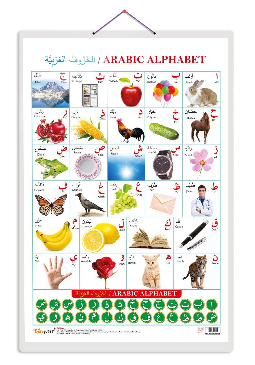 Arabic Alphabet?(Arabic) Early Learning Educational Chart for Kids | 20"X30" inch |Non-Tearable and Waterproof | Double Sided Laminated | Perfect for Homeschooling, Kindergarten and Nursery Students