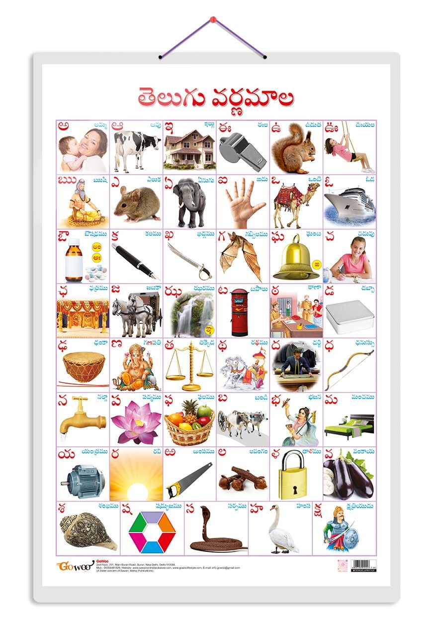 Telugu Alphabet?(Telugu) Early Learning Educational Chart for Kids | 20"X30" inch |Non-Tearable and Waterproof | Double Sided Laminated | Perfect for Homeschooling, Kindergarten and Nursery Students