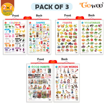 Set of 3 | 2 IN 1 COLOURS AND SHAPES, 2 IN 1 FRUITS AND VEGETABLES and 2 IN 1 GOOD HABITS AND ACTION WORDS Early Learning Educational Charts for Kids