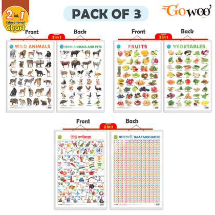 Set of 3 |2 IN 1 FRUITS AND VEGETABLES, 2 IN 1 WILD AND FARM ANIMALS & PETS and 2 IN 1 HINDI VARNMALA AND BAARAHKHADEE Early Learning Educational Charts for Kids