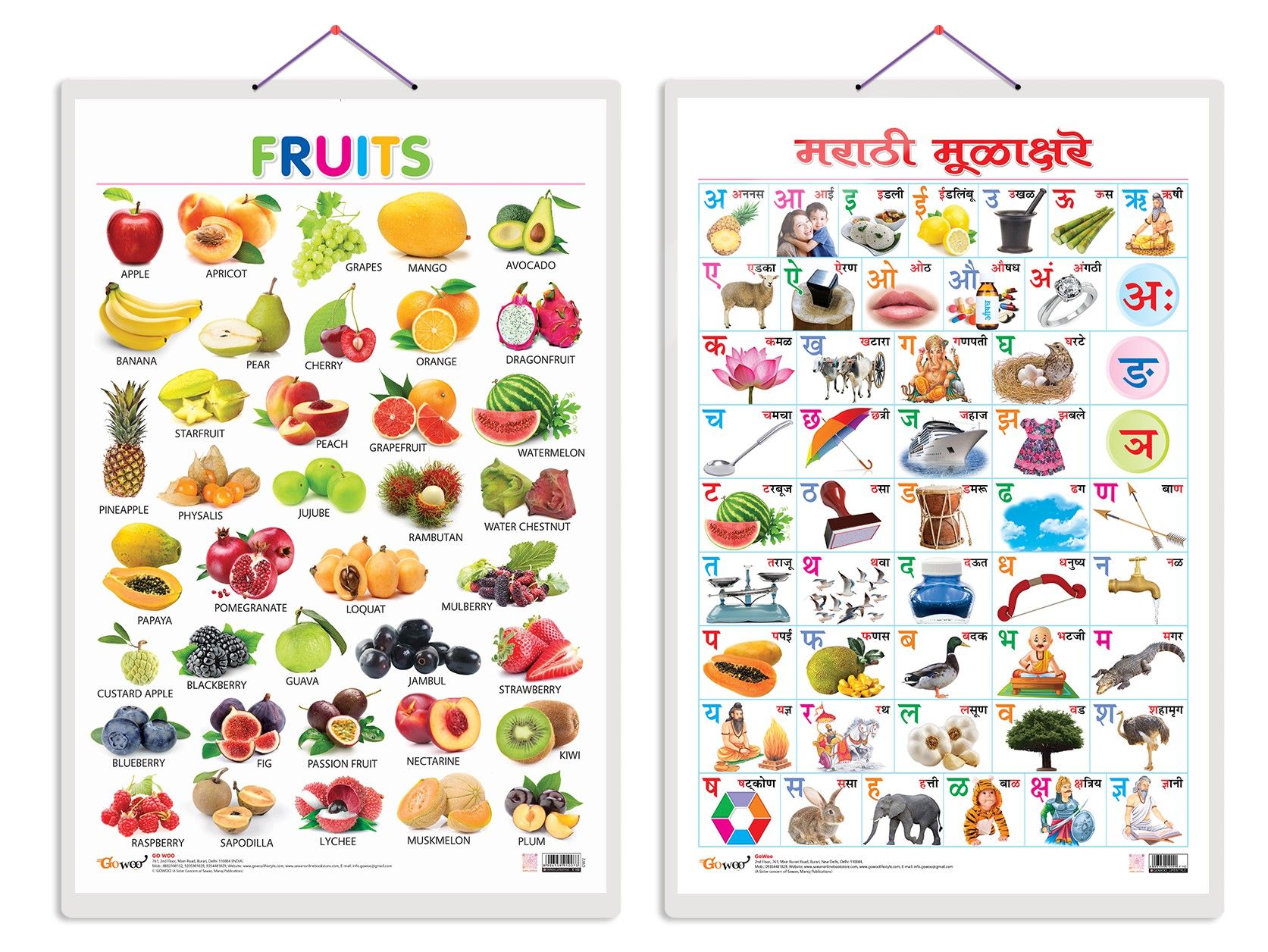 Set of 2 Fruits and Marathi Varnamala?(Marathi) Early Learning Educational Charts for Kids | 20"X30" inch |Non-Tearable and Waterproof | Double Sided Laminated | Perfect for Homeschooling, Kindergarten and Nursery Students