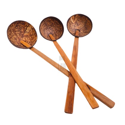 Coconut Shell Ladles (Large) – Set of 3 Wooden Spoons (Made with coconut shell and coconut wood)
