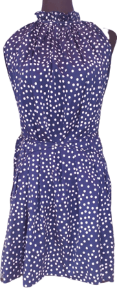 Women Fit and Flare Dark Blue, White Dress