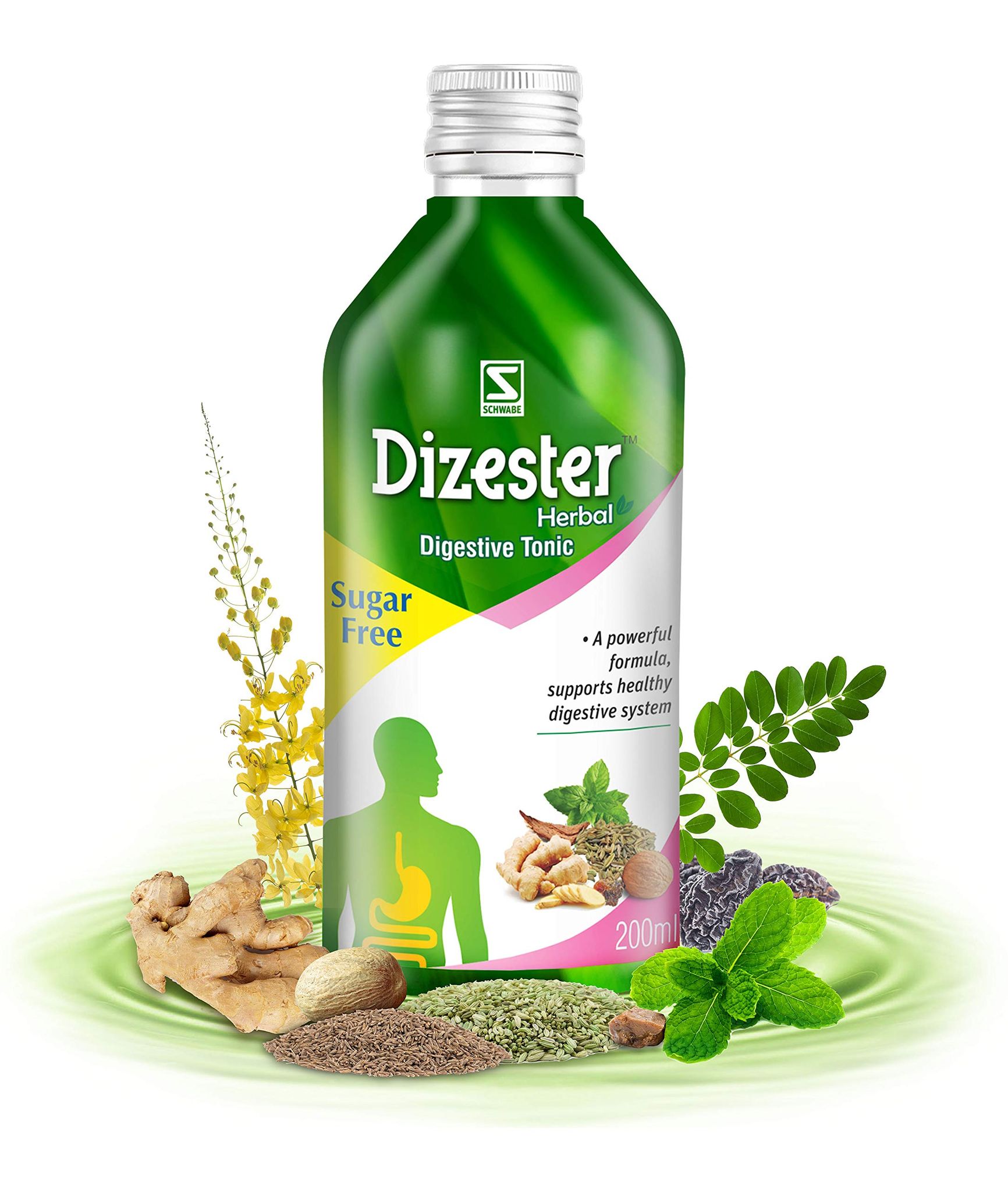 Schwabe India Dizester Herbal Syrup , 200ml