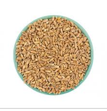 Wheat Grains