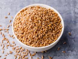 Wheat Grains