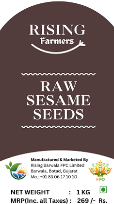 Raw Sesame Seeds