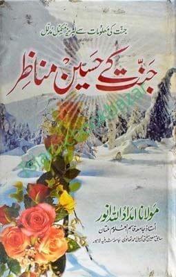 Jannat ke Haseen Munazir [Hardcover] Maulana Imdaadullah Noor [Hardcover] Maulana Imdaadullah Noor