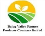 BALOG VALLEY FARMER PRODUCER COMPANY  LIMITED