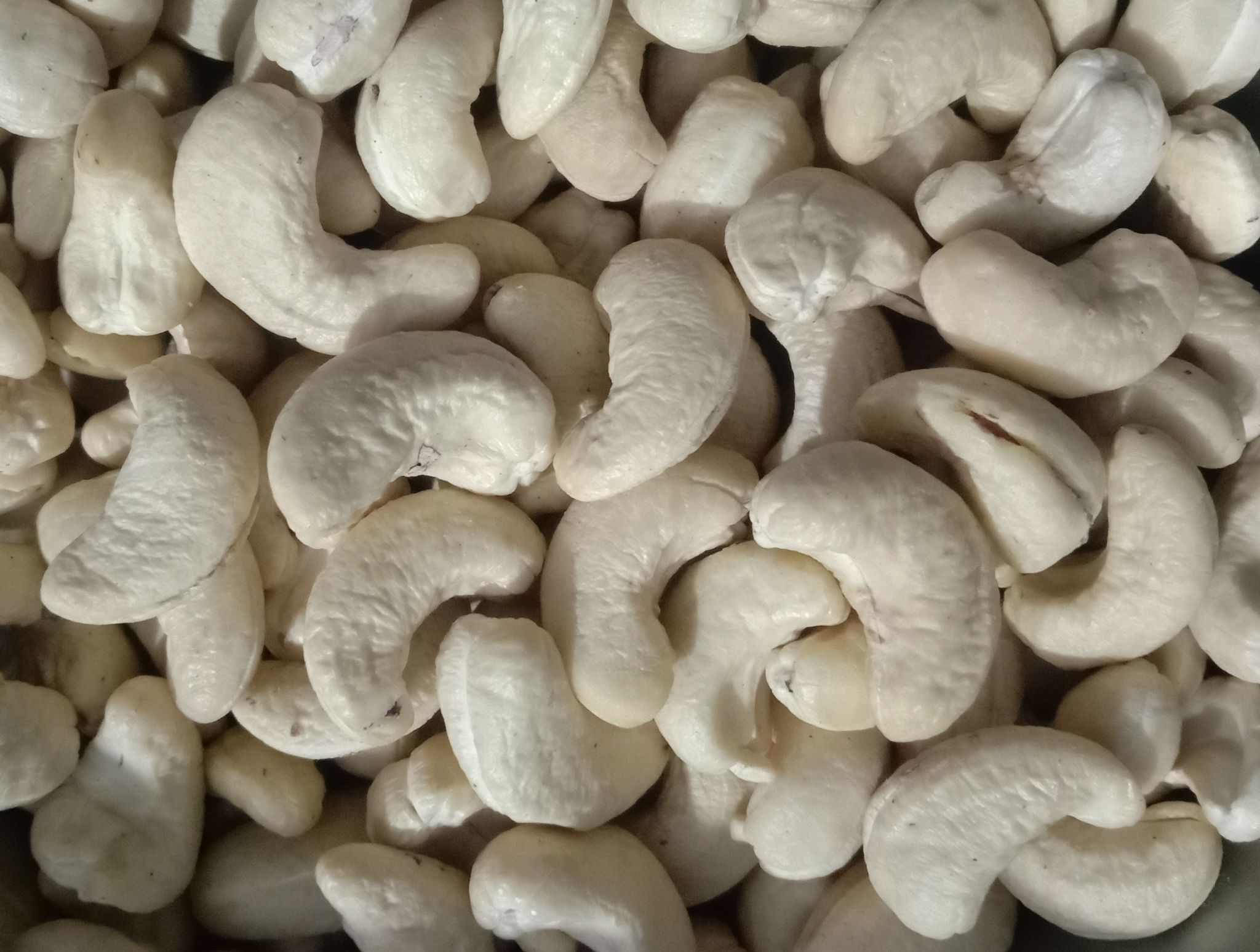 Uzhavan Unavu - (Grade-320) Panruti Cashews / kashyu / PanrutiMuntiri - 250 Gms