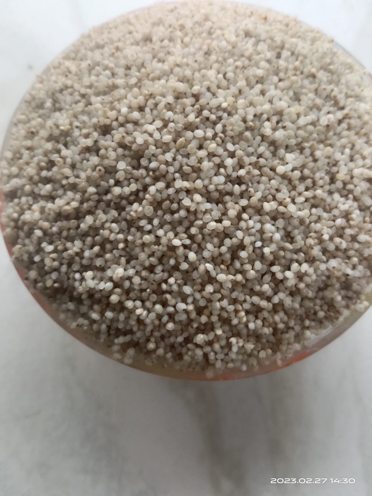 Uzhavan Unavu - Unpolished Samai / Moraiyo, / Kutki, / Shavan / Little Millet - 500 Gms.