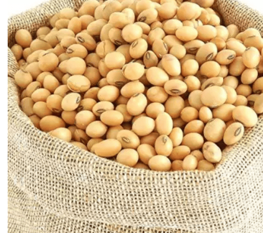 Soyabean Whole