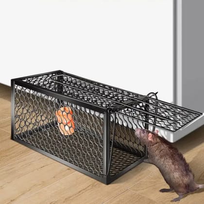 URBAN CREWR Rat, Rodent, Mouse Trap/Catcher Iron Big Size - Ultimate Solution to All Rat Problems (Large, 1)  (1Pc)
