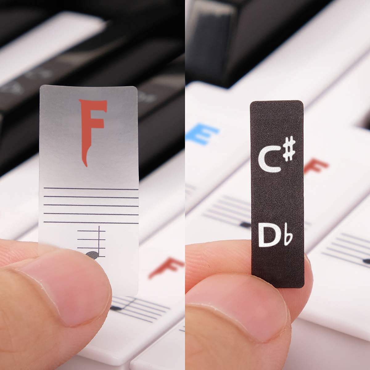 Bright Colors Palap Piano Stickers Labels for 37, 49, 54, 61, 88 Keys Keyboard, Piano Removable Stickers