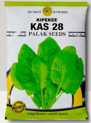 KAS 28 SPINACH SEED