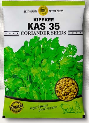 KAS 35 Coriander Seed
