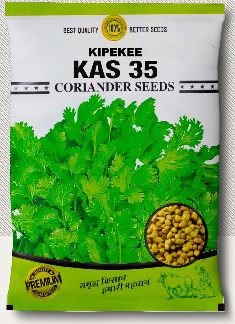 KAS 35 Coriander Seed