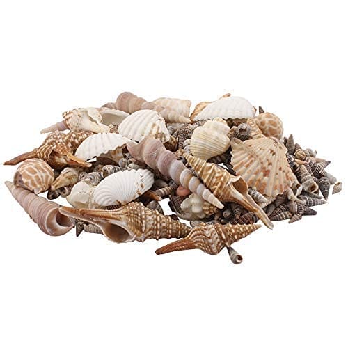 Darmika Mix Pattern Sea Shells for Jewelry Making Craft Decoration Big Size Half Shape Spiral Shell | Aquarium Decoration Home Decoration and Aquarium, Brown-Cream (5kg)