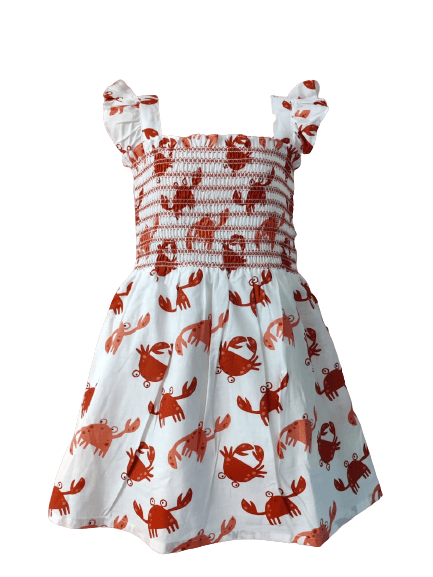 Little Crowns Baby Girls Cotton Printed Frocks Dress