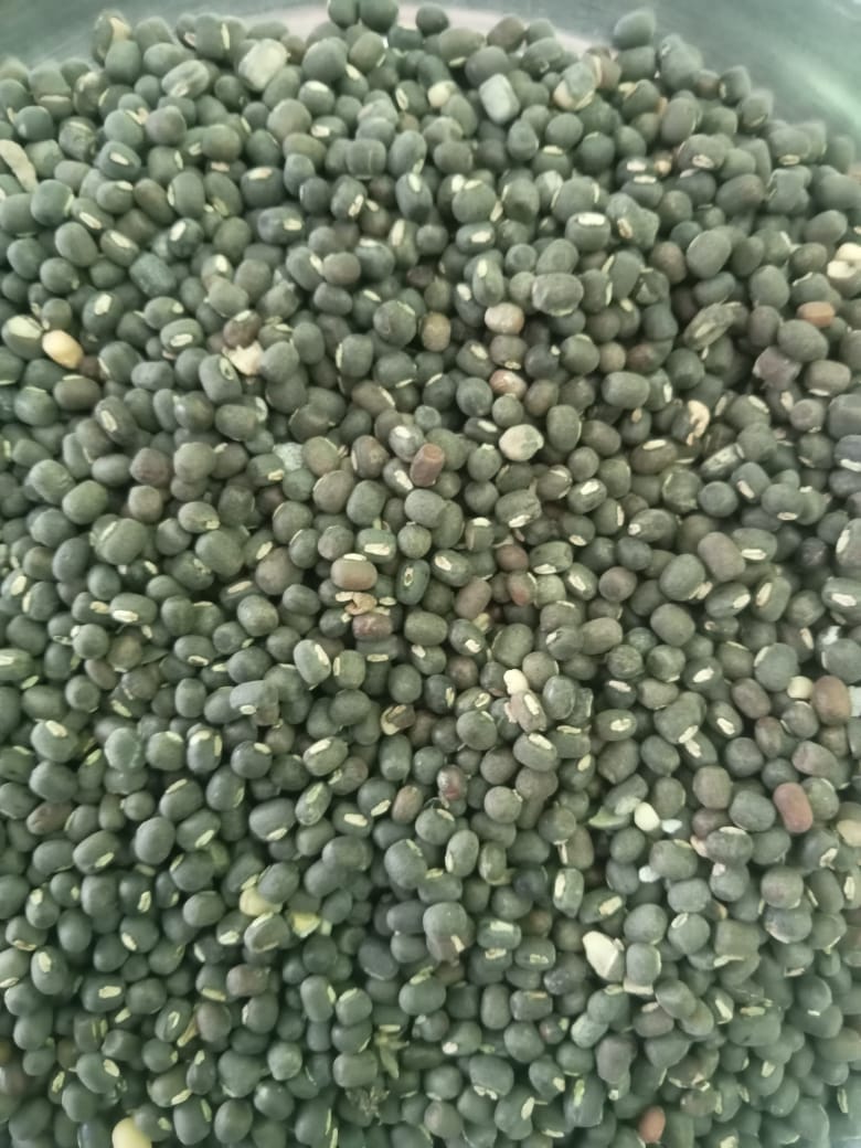 Kali dal 1 kg.