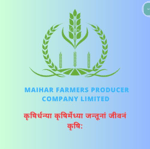 Maihar Farmers Producer Company Limited