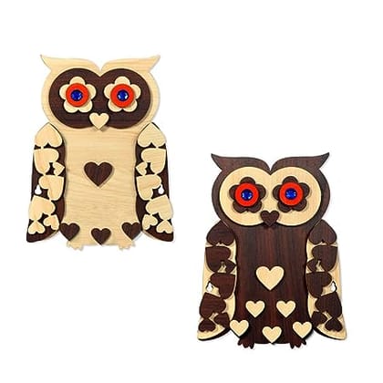 SHRADDHA SABURI ARTWORK Handmade 2Owl. Wall Hangings