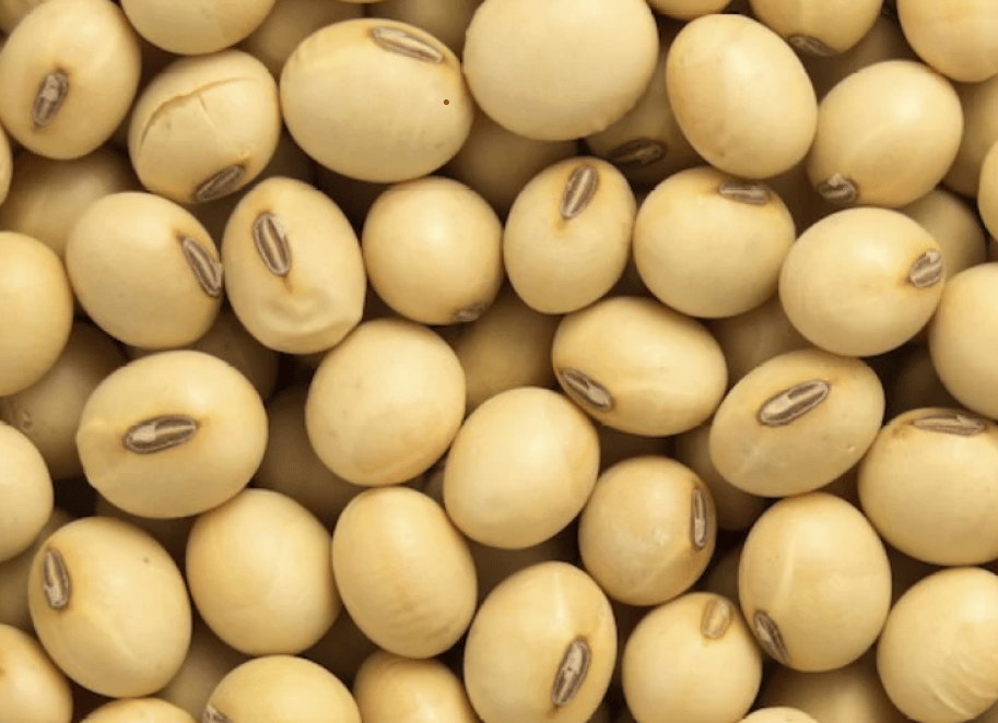 Soyabean Whole