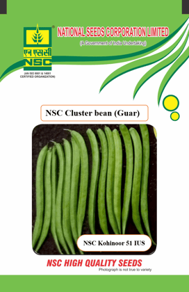NSC Clusterbean (Guar) Seed, Variety: NSC Kohinoor 51 IUS 500 gm
