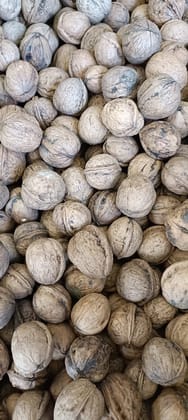 Kashmiri organic walnut (1 kg)