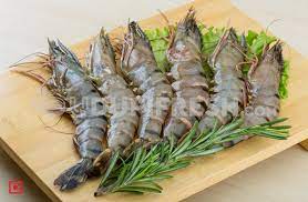 Fresh Tiger Prawns (Medium)