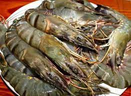 Fresh Tiger Prawns - Large