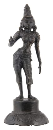 Poompuhar Brass Oxidized Amman Devi Idol (6 cm x 6 cm x 15 cm, Black)