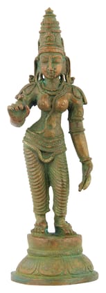 Poompuhar Bronze Parvathi Idol, 3 cm x 3 cm x 9 cm, Yellow, 1 Piece