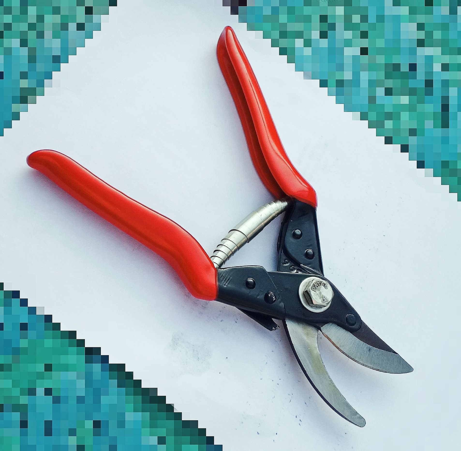 Major M2 Plant Cutter for Garden Bypass Pruner  (Manual)