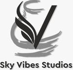 Sky Vibes Studios 