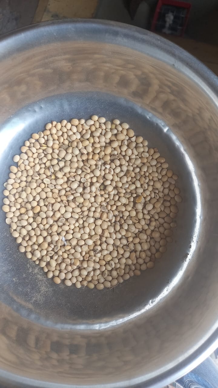 Soyabean