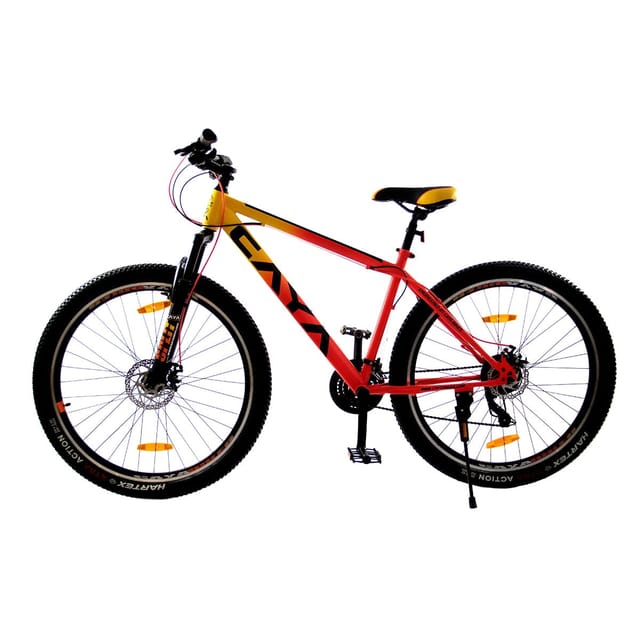 29t bicycle online