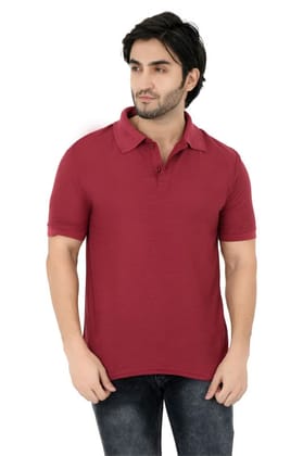 Men Polo Collar Neck Casual T-Shirt