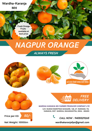 Wardha-Karanja MH "Nagpur Orange"