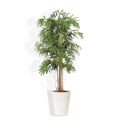 Euroxo Artificial Natural Bamboo Tree 5 Feet