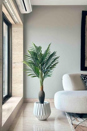 Euroxo Artificial Bottle Palm Tree - 4 Feet