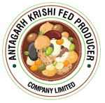 ANTAGARH KRISHI FED PRODUCER COMPANY LIMITED