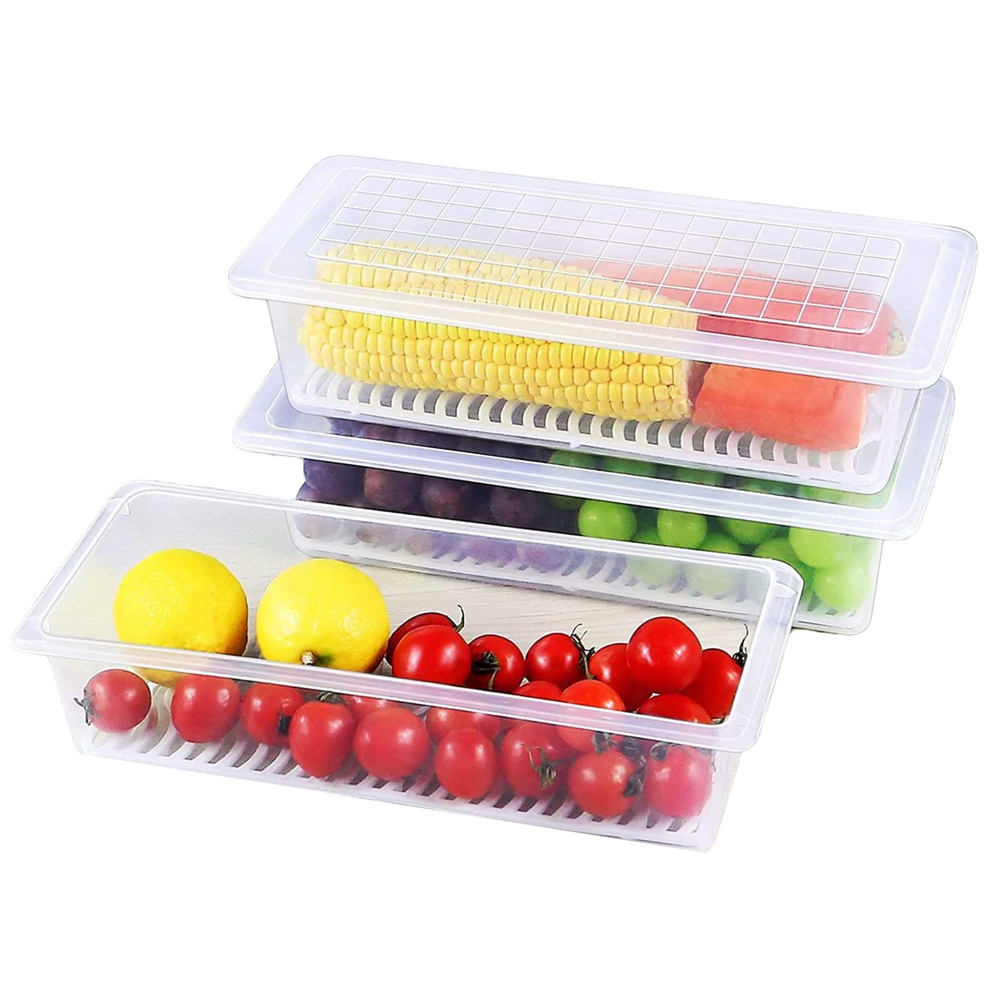 Food Storage Container, Plastic Food Containers with Removable Drain Plate and Lid, Stackable Portable Freezer Storage Containers - Tray to Keep