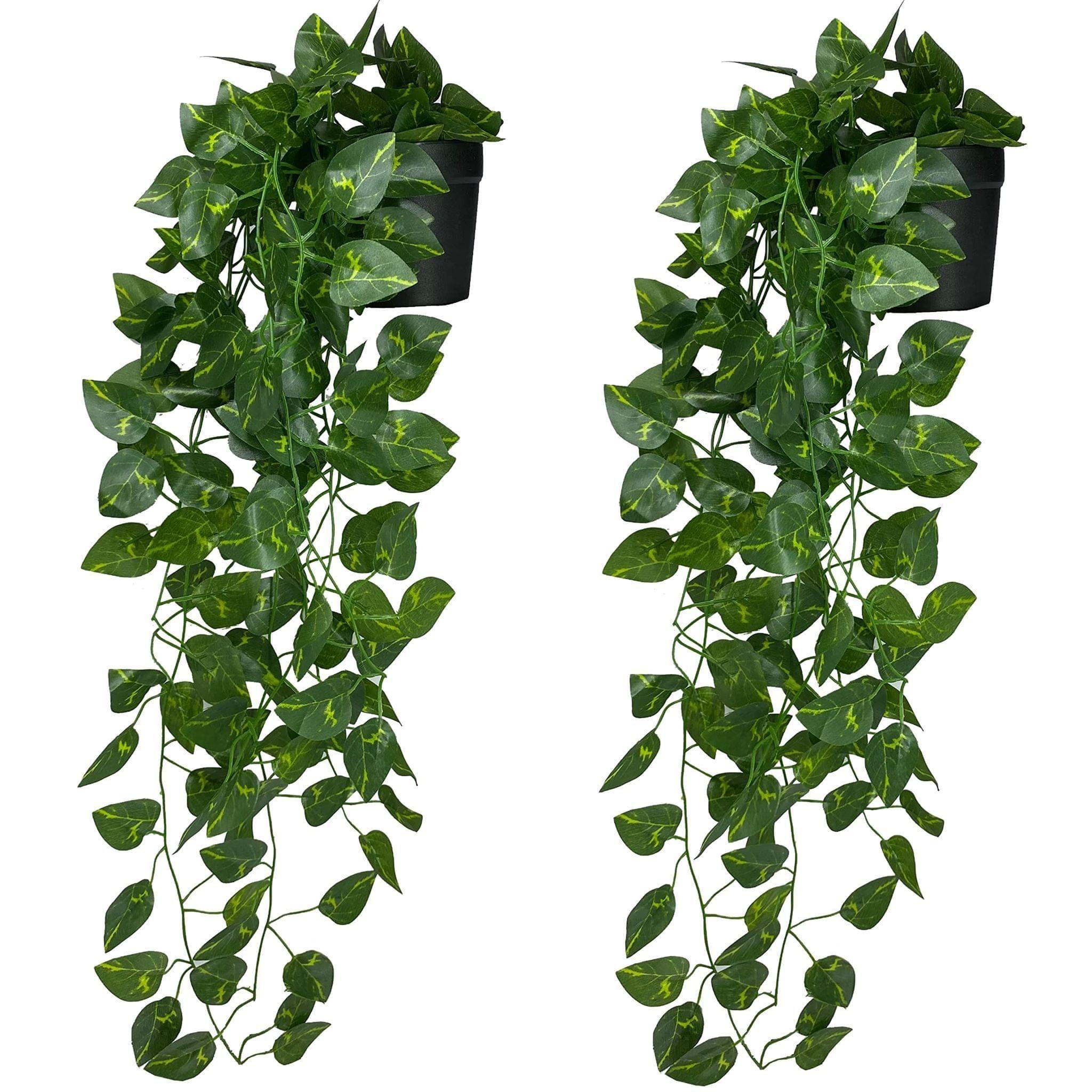 Tdas Artificial Plants with Pot Leaves Hanging Ivy Garlands Plant Greenery Vine Creeper Home Decor Door Wall Balcony Decoration Party Festival Craft (2 Pcs Money Plants)